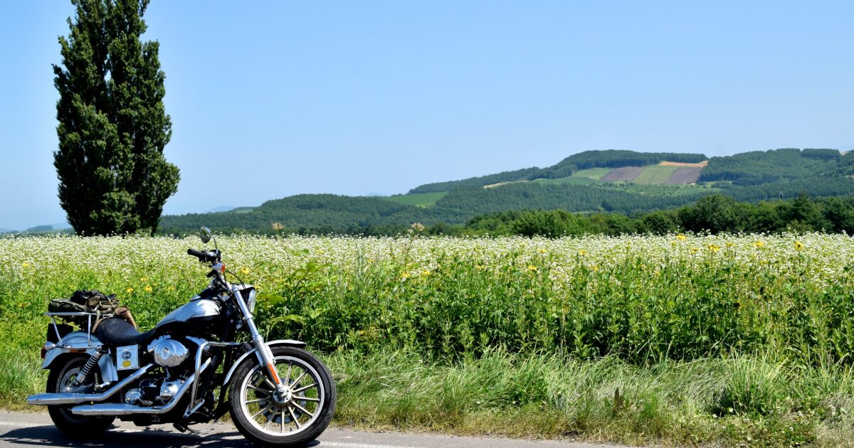 そばの花畑とバイクと丘の風景
